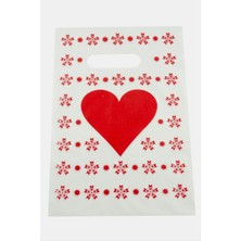 Renklime 18*25 El Tutma Poşet Paketi 100 Adet