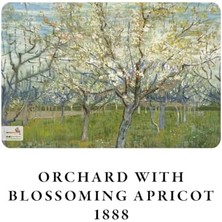 Skygo Blooming Series - A5, 4'lü Defter Seti Iı, Çizgisiz, Toplam 256 Sayfa, Her Biri 64 Sayfa, Tel Dikiş, Esnek Kapak, Oval Kenar, Tuval Doku, 60 Gram, Sarı Krem Renk