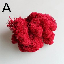 Trend Reindeer Moss Kırmızı Şoklanmış Norveç Yosunu (30GR)