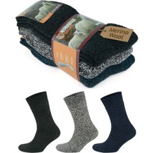 Gowith 3 Çift Norveç Tipi Yünlü Kalın Renkli Havlulu Yıkamalı Güçlendirilmiş Kışlık Termal Erkek Çorap 6042