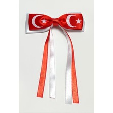 Renklime 23 Nisan 19 Mayıs Türk Bayraklı Fiyong Pens Toka
