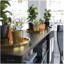 Skygo Glattis Tepsi, Pirinç Renk