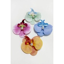 Renklime Orkide Pens Toka 8 cm