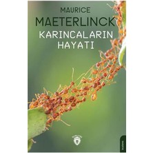 Dorlion Yayınları Karıncaların Hayatı