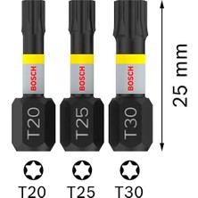 Skygo 3 x Pro Torx Bit (100 x 50 Mm, Profesyonel Aksesuar Tornavida, Tornavida)
