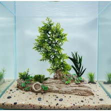 Medusa Büyük Bonsai Bitkisi2 Akvaryum Dekoru