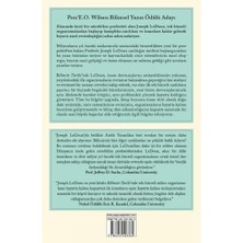 Skygo Bilincin Tarihi - Insan Beyninin Gelişiminin 4 Milyar Yıllık Hikayesi