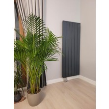 Ayen Clas Alüminyum Radyatör 600/600 Antrasit