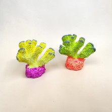 Medusa 2'li Fosforlu Mercan Akvaryum Dekoru