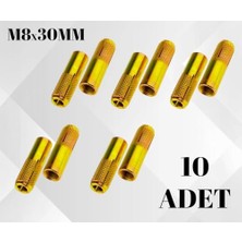 Skygo Çelik Dübel M8X30MM, Çelik Galvanizli Çakma Dübel, Duvar Montaj Ankrajı, Yapıların Sabitlenmesi ve Yük Taşıma Kapasitesini Artırmak Için 10 Adet