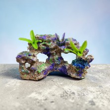 Medusa Delikli Kaya Akvaryum Dekoru