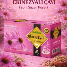 Çare Burada Ekinezya Karışık Bitki Çayı (20'li Süzen Poşet)