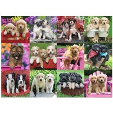 Skygo 500 Parça Puzzle Köpek Yavruları