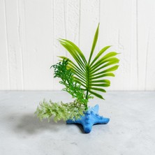 Medusa Deniz Yıldızı Temalı 4'lü Akvaryum Dekoru