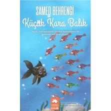 Küçük Kara Balık