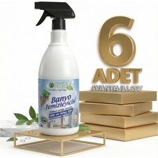 Ortem Banyo Temizleyici 6X750 ml