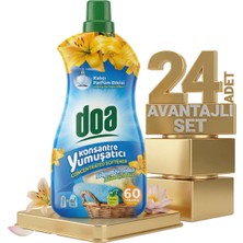 Safia Doa Konsatre Yumuşatıcı Lityum Lotus 24X1500 ml