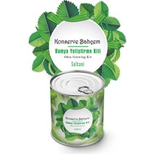 Bucuks® Konserve Bahçem Evde Konservede Sultani Bamya Yetiştirme Kiti