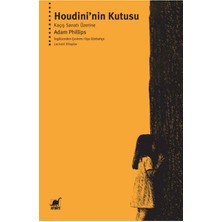 Ayrıntı Yayınları Houdini’nin Kutusu