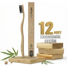 Safia Naturalive Yetişkin Diş Fırçası X12