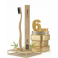 Safia Naturalive Yetişkin Diş Fırçası X6