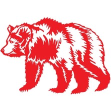 Ruselland Boz Ayı Sticker 10 x 7 cm