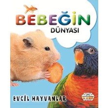0-6 Yaş Yayınları Bebeğin Dünyası Evcil Hayvanlar