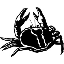 Ruselland Yengeç Oto Özel Yeni Sticker Siyah 30 x 24 cm