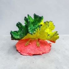 Medusa Fosforlu Mercan Akvaryum Dekoru