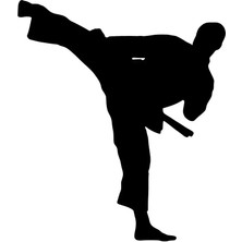 Ruselland Karate Duvar Dekor Sticker 40 x 44 cm