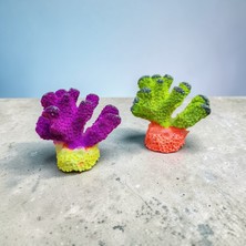 Medusa Ikili Fosforlu Mercan Akvaryum Dekoru