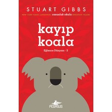 Pegasus Yayınları Eğlence Dünyası 2: Kayıp Koala