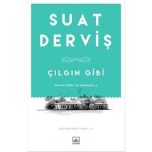 İthaki Yayınları Çılgın Gibi