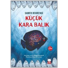 Kırmızı Kedi Çocuk Küçük Kara Balık