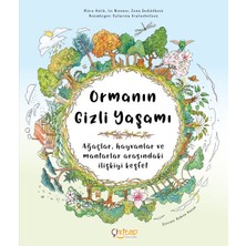 Çikitap Ormanın Gizli Yaşamı