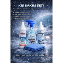 Ebrayn Premium Araç Kış Temizlik Bakım Seti