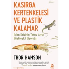Nova Kitap Kasırga Kertenkelesi ve Plastik Kalamar