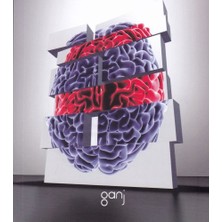 Ganj Kitap Yaşam Üzerine Yorumlamalar Cilt 2