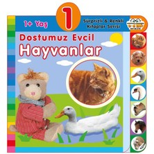 0-6 Yaş Yayınları Dostumuz Evcil Hayvanlar (1+Yaş)