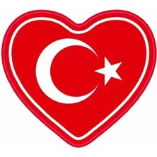 Kabartmalı Bayrak Motor ve Oto Sticker 7,5x6 cm Ölçüsünde