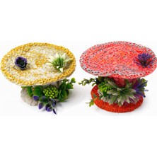 Akvaryum Renkli  Mercan