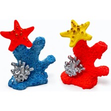 Akvaryum Yıldızlı Mercan