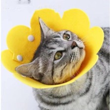 Ecoport Evcil Hayvan M Boy Keçe Elizabeth Yakalığı