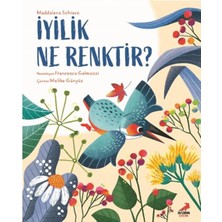 Erdem Çocuk Iyilik Ne Renktir?