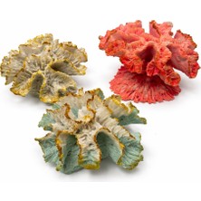 Dekoratif Mercan Akvaryum