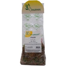 TeknoKapsül Anason Tohumu Doğal Tane 100 gr Paket