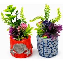 Akvaryum Dekoru Saksılı Bitki