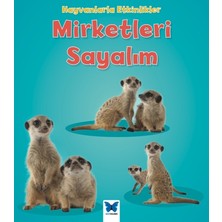 Mavi Kelebek Yayınları Hayvanlarla Etkinlikler - Mirketleri Sayalım