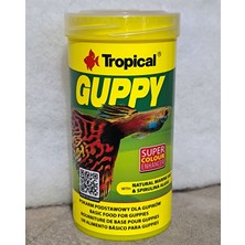 Tropical Guppy Lepistes ve Moly Balıkları Için Multi Vitamin Pul Balık Yemi 250 ml 50 gr
