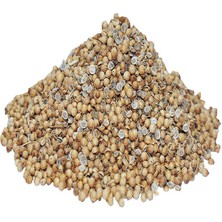 TeknoKapsül Kişniş Doğal Tane 1000 gr Paket